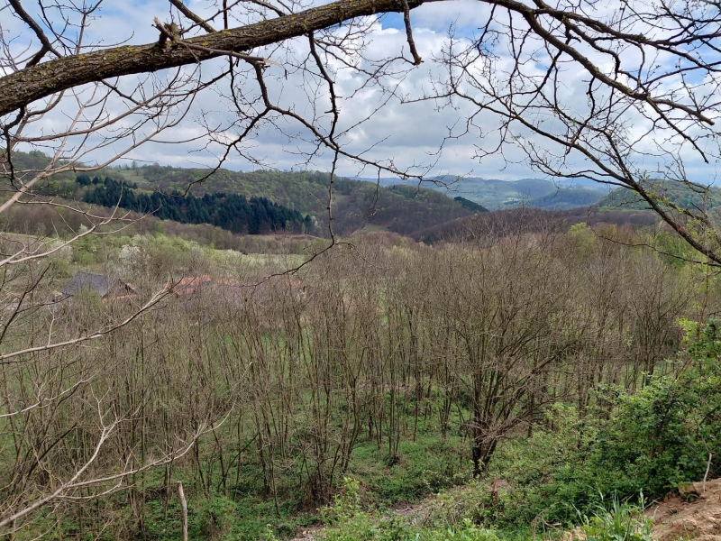 Határtalanul! a 7.a osztály 1.nap: 2026.04.21.